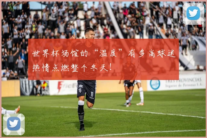 世界杯场馆的“温度”有多高球迷热情点燃整个冬天！